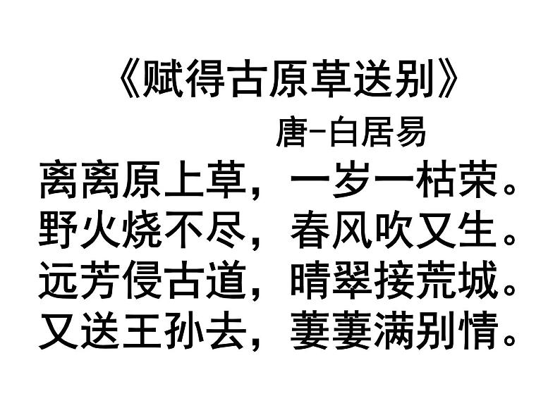 2022--2023学年部编版必修上册第三单元 《琵琶行并序》 课件第4页