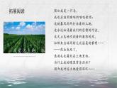 2021—2022学年统编版高中语文选择性必修下册6.1《大堰河——我的保姆》课件