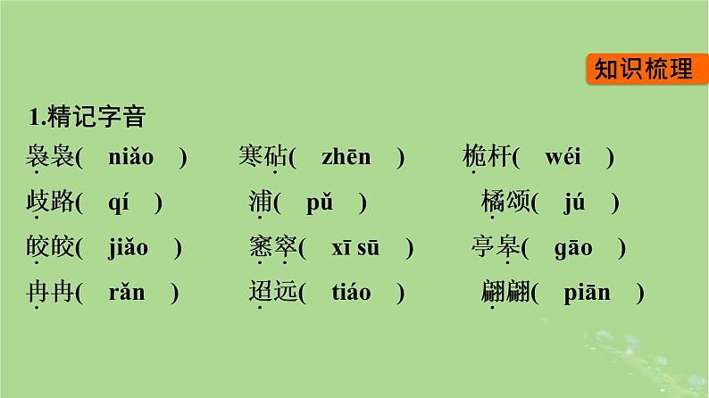 2022秋高中语文第三单元9说“木叶”课件部编版必修下册05