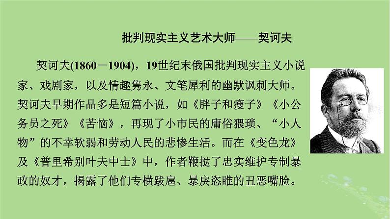 2022秋新教材高中语文第六单元第13课13.1林教头风雪山神庙13.2装在套子里的人课件部编版必修下册第8页