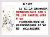 2022-2023学年统编版高中语文选择性必修上册6.2《五石之瓠》课件