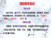 2021-2022学年统编版高中语文选择性必修下册4.1《望海潮》课件