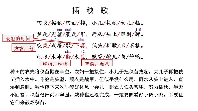 2022-2023学年统编版高中语文必修上册6.2《插秧歌》课件08