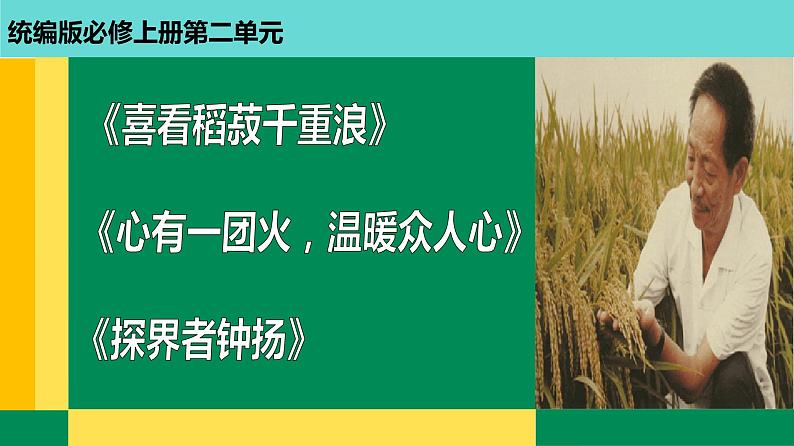 2022-2023学年统编版高中语文必修上册4《喜看稻菽千重浪》《心有一团火，温暖众人心》《“探界者”钟扬》群文阅读 课件第1页