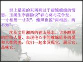 2021-2022学年统编版高中语文选择性必修下册5.2《边城（节选）》课件
