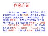2021-2022学年统编版高中语文选择性必修下册5.2《边城（节选）》课件