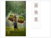 2022-2023学年统编版高中语文必修上册6.2《插秧歌》课件