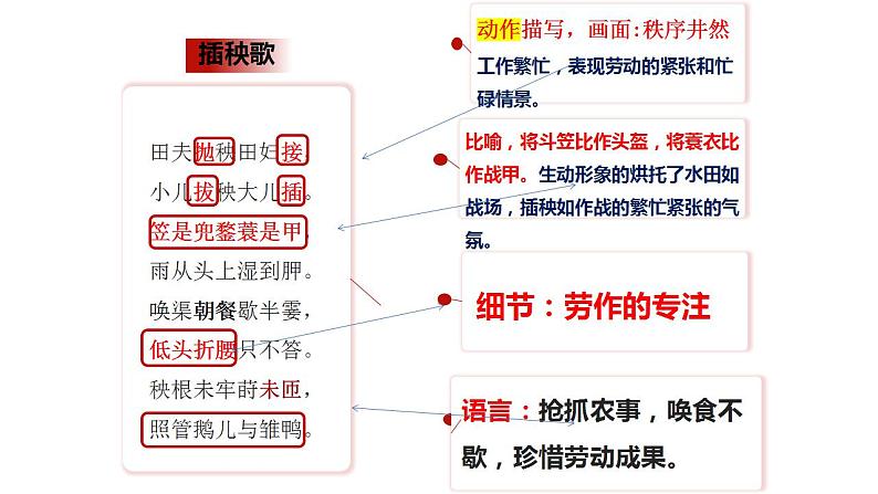 2022-2023学年统编版高中语文必修上册6.2《插秧歌》课件07