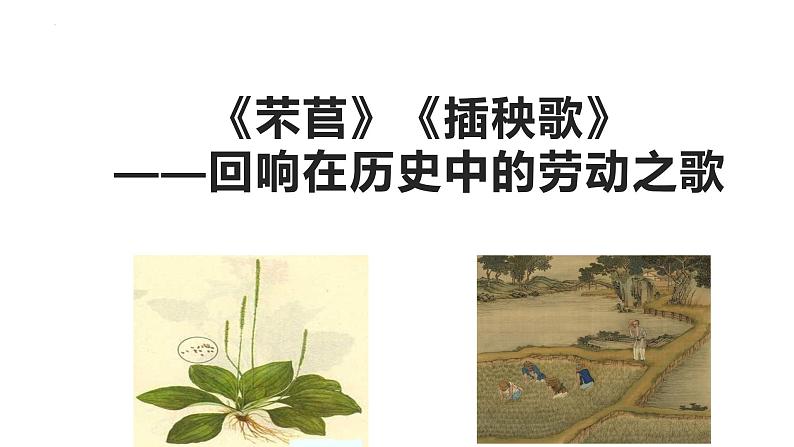 2022-2023学年统编版高中语文必修上册6.《芣苢》《插秧歌》联读课件第1页