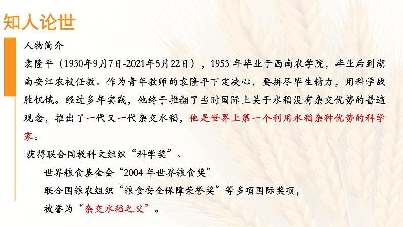 2022-2023学年统编版高中语文必修上册4.1《喜看稻菽千重浪》课件第6页