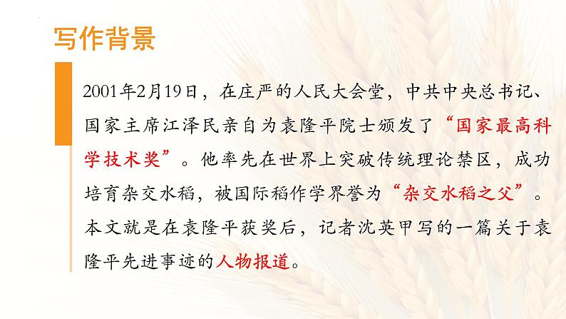 2022-2023学年统编版高中语文必修上册4.1《喜看稻菽千重浪》课件第8页