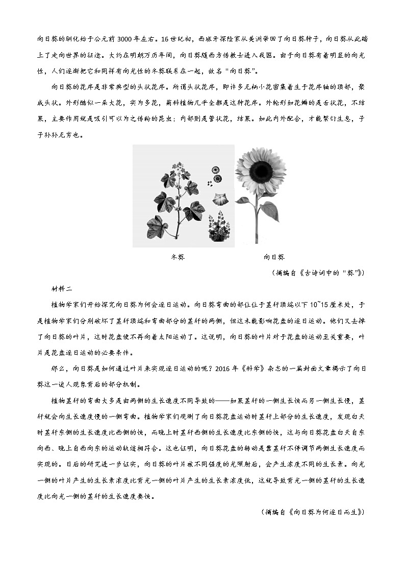 2023通化梅河口五中高三上学期9月月考语文试题含答案第3页