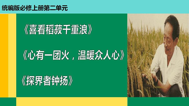 2022-2023学年统编版高中语文必修上册4.《喜看稻菽千重浪》《心有一团火，温暖众人心》《“探界者”钟扬》课件03