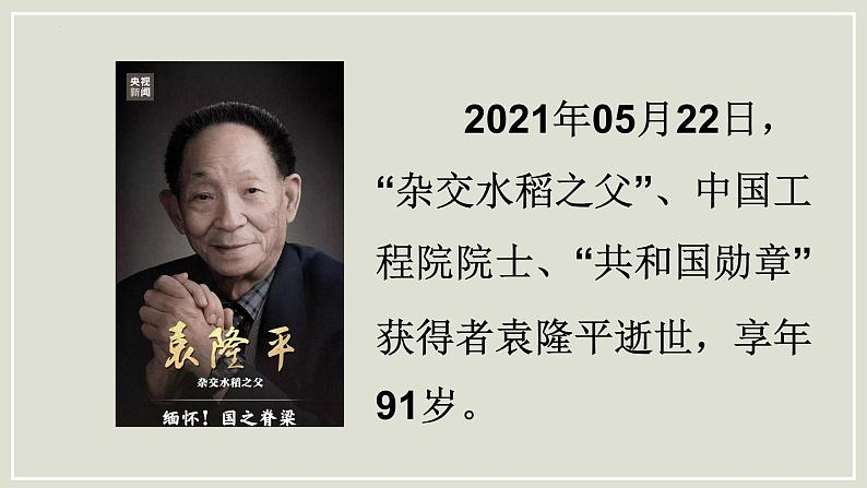 2022-2023学年统编版高中语文必修上册4.1《喜看稻菽千重浪》课件第3页