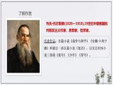 2022-2023学年统编版高中语文选择性必修上册9《复活（节选）》课件