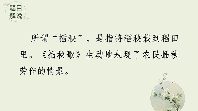 2022-2023学年统编版高中语文必修上册6.2《 插秧歌》课件07