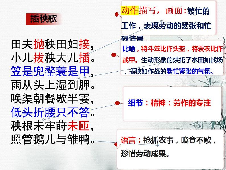 2022-2023学年统编版高中语文必修上册6-2《插秧歌》课件第6页