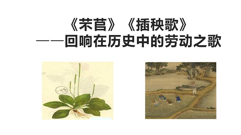 2022-2023学年统编版高中语文必修上册6.1《芣苢》课件第1页