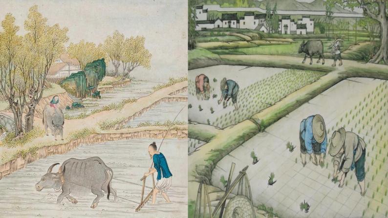 人教统编版必修 上册《乡土中国》教案配套课件ppt-教习网|课件下载