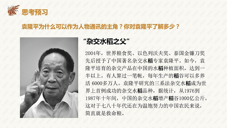 2022-2023学年统编版高中语文必修上册4.1《喜看稻菽千重浪》课件第8页