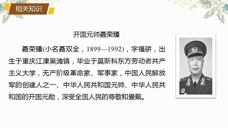 2022-2023学年统编版高中语文选择性必修上册2.2《大战中的插曲》课件第7页