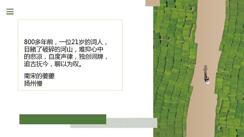 2021-2022学年统编版高中语文选择性必修下册4.2《扬州慢》课件第2页