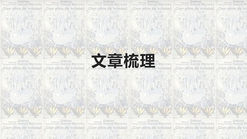2022-2023学年统编版高中语文选择性必修上册《百年孤独》课件08