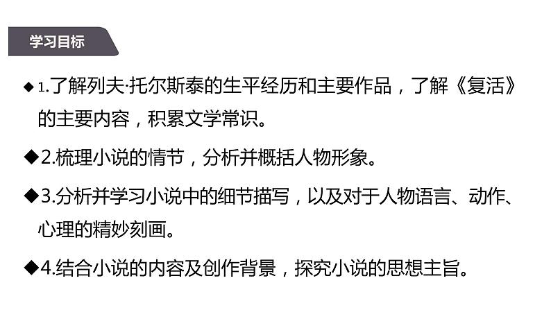 2022-2023学年统编版高中语文选择性必修上册9.《复活（节选）》课件第2页