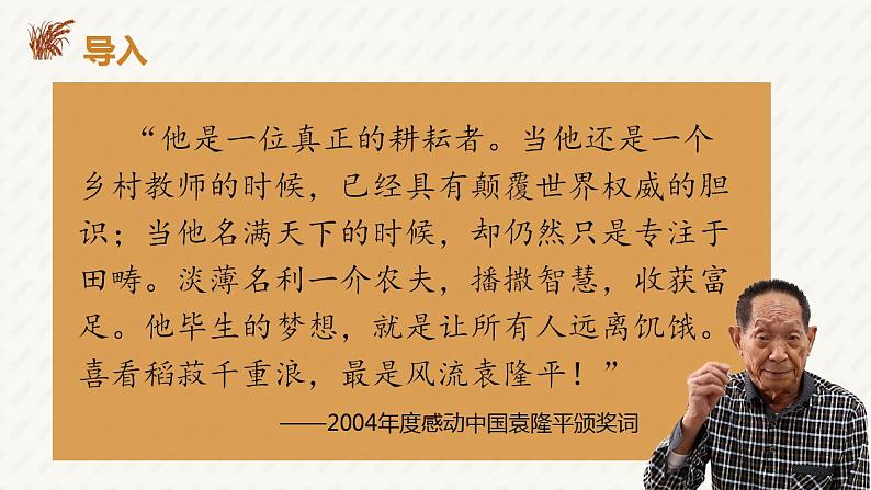 2022-2023学年统编版高中语文必修上册4.1《喜看稻菽千重浪》课件第2页