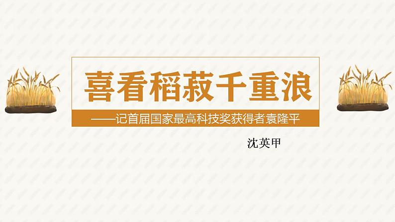 2022-2023学年统编版高中语文必修上册4.1《喜看稻菽千重浪》课件第3页