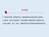 2022-2023学年高中语文统编版选择性必修上册9《复活（节选）》课件