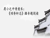 统编版选择性必修下册 9.2 项脊轩志 课件