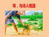 统编新版必修上册《芣苢》《插秧歌》群文教学课件