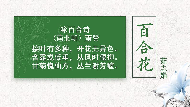 2022-2023学年统编版高中语文必修上册3.1《百合花》课件第1页