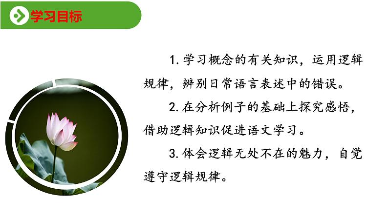 2022-2023学年统编版高中语文选择性必修上册《发现潜藏的逻辑谬误》课件02