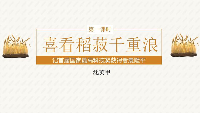 2022-2023学年统编版高中语文必修上册4.1《喜看稻菽千重浪》课件第5页