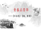 2022-2023學(xué)年統(tǒng)編版高中語(yǔ)文必修上冊(cè)3.《哦，香雪》《百合花》課件