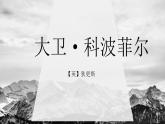 2022-2023学年统编版高中语文选择性必修上册8《大卫 科波菲尔（节选）》课件
