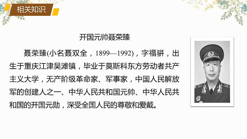 2.2《大战中的插曲》课件2022-2023学年统编版高中语文选择性必修上册07