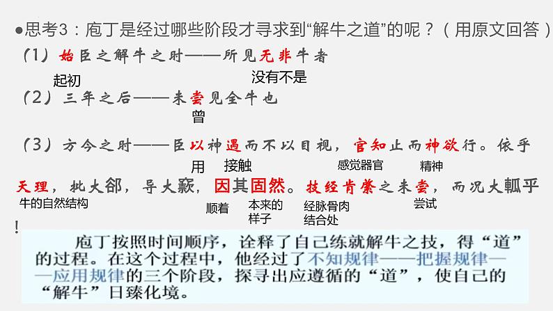 统编版必修下册 1.3 庖丁解牛 复习课件第6页