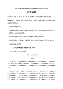 2020宜宾四中校高三下学期第四学月考试语文试题含答案