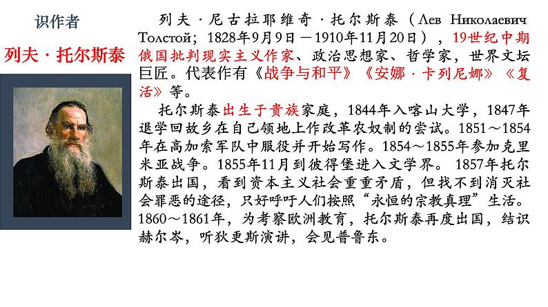 2022-2023学年统编版高中语文选择性必修上册9.《复活（节选）》课件04