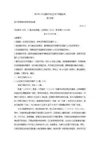 2020武汉高三下学期3月质量检测语文含答案