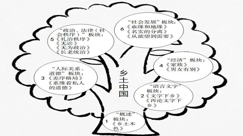 2022-2023学年统编版高中语文必修上册《乡土中国》整本书阅读-乡土本色 课件第5页