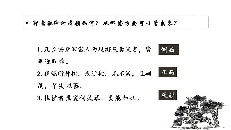 2021-2022学年统编版高中语文选择性必修下册11.《种树郭橐驼传》课件第7页