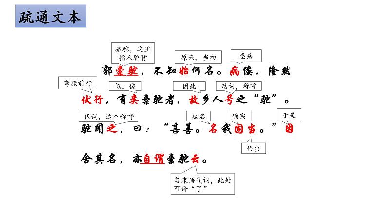 2021-2022学年统编版高中语文选择性必修下册11.《种树郭橐驼传》课件第8页