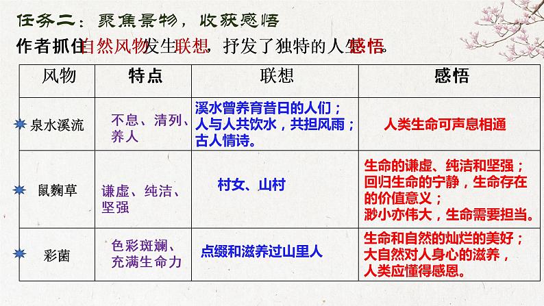 统编版选择性必修下册 11.1 一个消逝了的山村 课件第7页