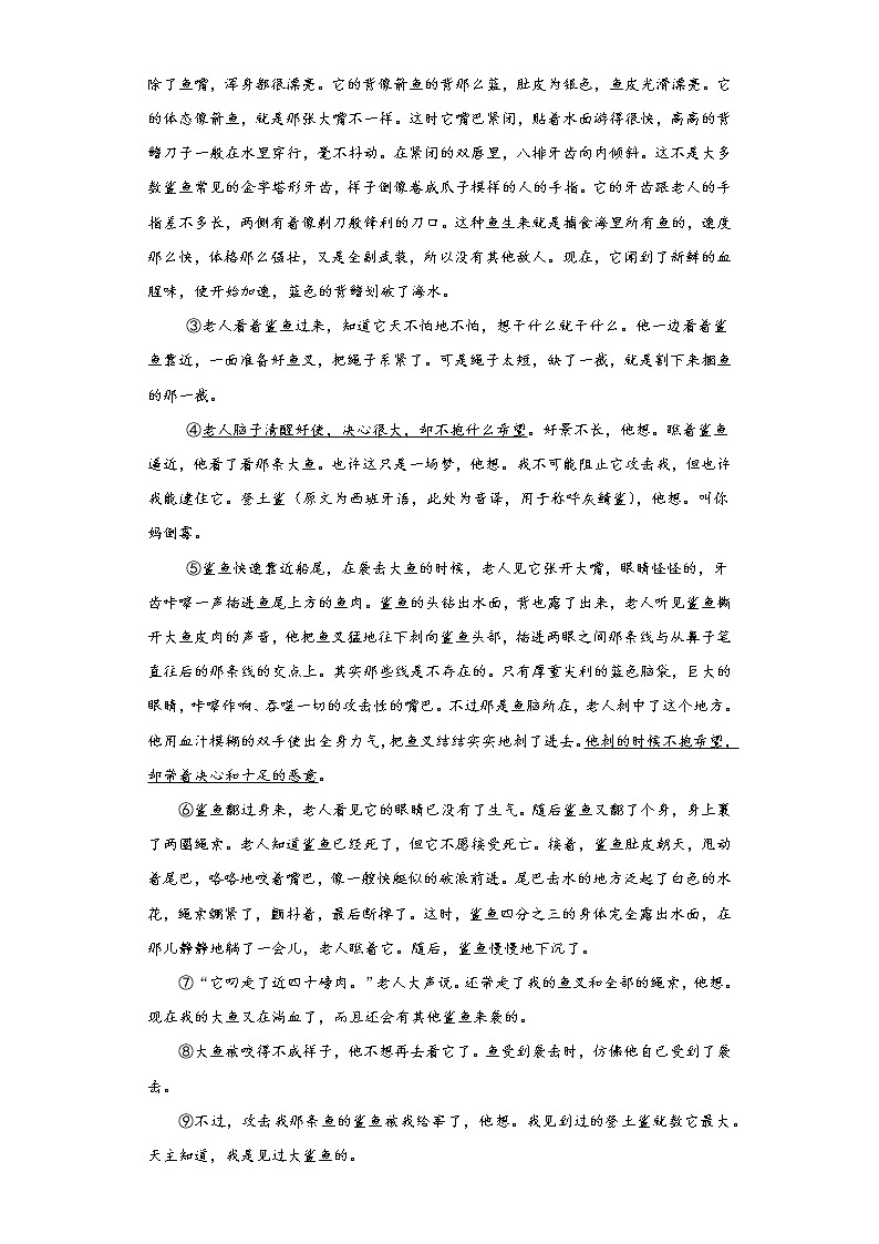 【精编】10《老人与海》课中同步卷-高中语文统编版(2019)选择性必修上册同步试题（含答案解析）02