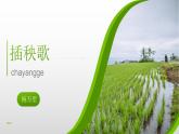 2022-2023学年统编版高中语文必修上册6-2《插秧歌》课件