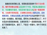 2023届高考语文复习：正确使用常见的修辞手法 课件